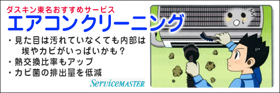 ���p�t�B�����{�H�T�[�r�X